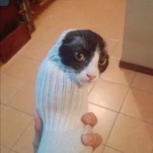 Meet your Posher, Mike